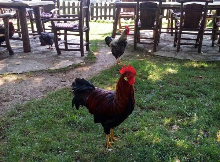 Farm Stay Cardaklije Kulen Vakuf Ngoại thất bức ảnh