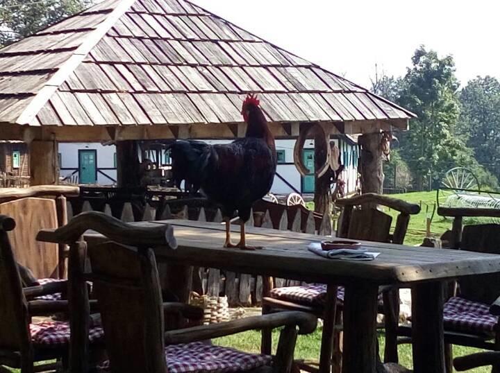 Farm Stay Cardaklije Kulen Vakuf Ngoại thất bức ảnh